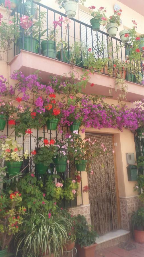 Puerto Deportivo Estepona Extérieur photo